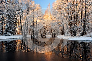 Golden sunlight reflection photo