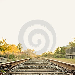 Golden Sunlit Railroad Tracks Stretching into the Distance