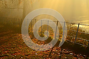 Golden sunrays shining down on A autumn day In hampstead london photo