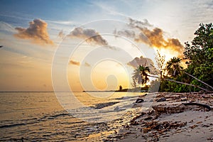 Golden Sunrise on Cozumel Beach