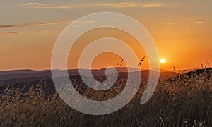 The golden sunrise in the fields