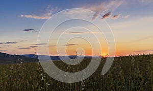 The golden sunrise in the fields