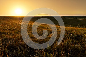 Golden Sunrise At Kansas Tallgrass Prairie Preserve National Park photo