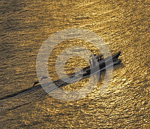 Golden sunset and dolphins