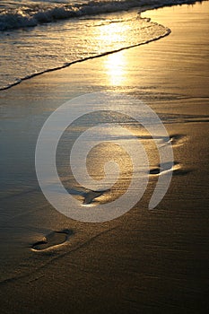 Golden sunset foot prints on beach