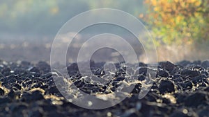 Golden sunset hues illuminate freshly plowed farm field