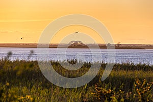 Golden sunset light above a long steel tied arch bridge - Robert Moses causeway