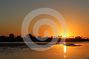 Golden Sunset at Ocean Beach, San Diego, California