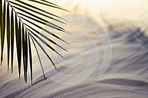 Golden sunset on ocean tropical beach with white sand and  palm leaf in sunlight with dark blue shadows. Summer paradise on coast.