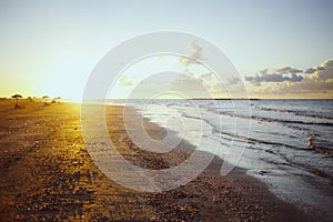 Golden sunset over beach, Ras Elbar, Damietta, Egypt.