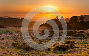 Golden sunset over California coastal meadow and Pacific Ocean