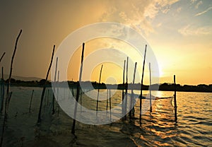 Golden Sunset over Chilka lake ,orissa.