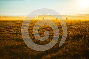 Golden sunset over farm field with hay bales