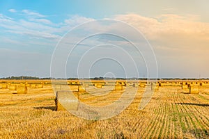 Golden sunset over farm field with hay bales and sun rays. Dry straw pressed into individual straw bales. Pile of straw