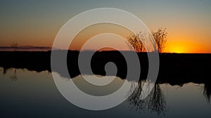 Golden Sunset Over The Louisiana Marsh.