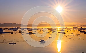 Golden sunset over mass of icebergs floating in arctic sea off coast of Greenland