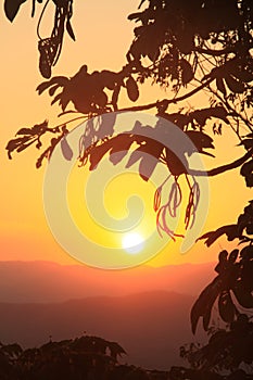 Golden Sunset over Mountain Range and Tropical Vegetation