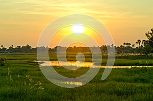 A Golden Sunset over the Okavango Delta in Botswana.