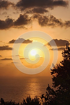 Golden sunset over tranquil ocean with clouds, trees, and shimmering reflections