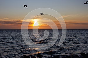 Golden Sunset in Walvis Bay, Namibia