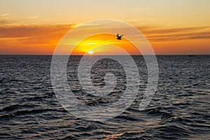 Golden Sunset in Walvis Bay, Namibia