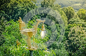 golden swan lamp on forest Thailand