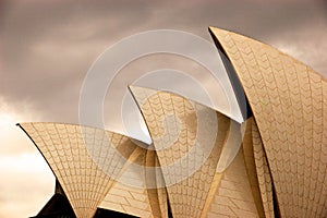 Golden sydney opera house