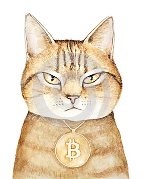 Golden tabby cat portrait with gloomy face expression, wearing gold medallion with bitcoin sign engraving.