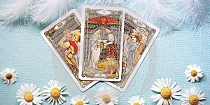 Golden tarot cards on the Blue background with Daisy flowers, cups