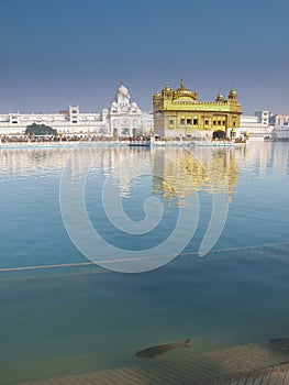 Golden temple