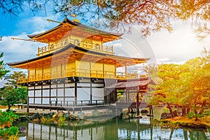 Golden temple in Japan, Kinkaku-ji Gold Pavilion  Buddhist Zen Temple Travel landmark at Kyoto, Japan