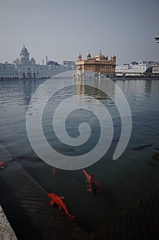 Golden temple, Sri Harmandir Sahib, India