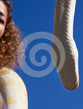 Golden Thai Python over her nake