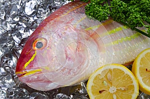 Golden threadfin bream