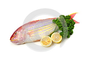 Golden threadfin bream