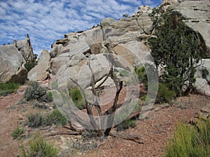 From Golden Throne Trail