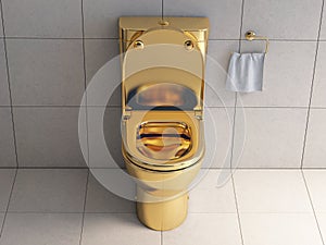 Golden toilet bowl in wc