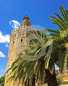 Dorado la Torre uno de la mayoría fotografiado monumentos cómo eso es un con encuentra sobre el ancho paseo más cercano un rio 