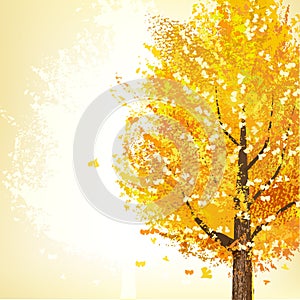 Golden tree in Autumn