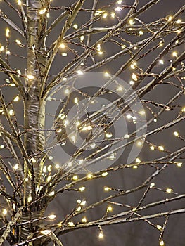 golden tree with lights