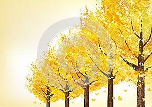 Golden trees in late autumn