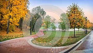Golden trees in the Tsaritsyno autumn park