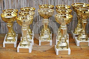 Golden trophy cups for winners