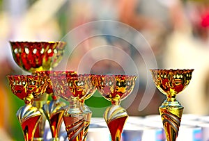 Golden trophy goblets