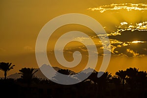 Golden tropical sunset over silhouette of palm trees and mountains. Sun`s rays break through clouds. Magnificent landscape