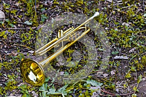 Golden trumpet placed on the grass after the concert