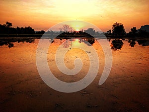 Golden twilight sunset