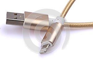 Animals made from play clay