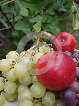 Golden and violet grapes with two apples