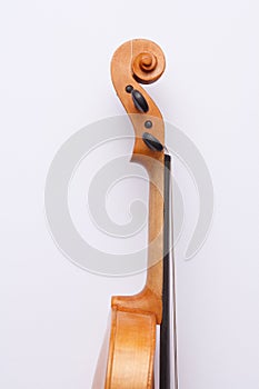 Golden violin on white background